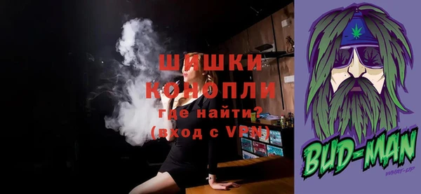 шишки Арсеньев
