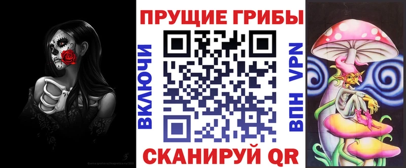 Псилоцибиновые грибы мицелий  купить  цена  Поворино 